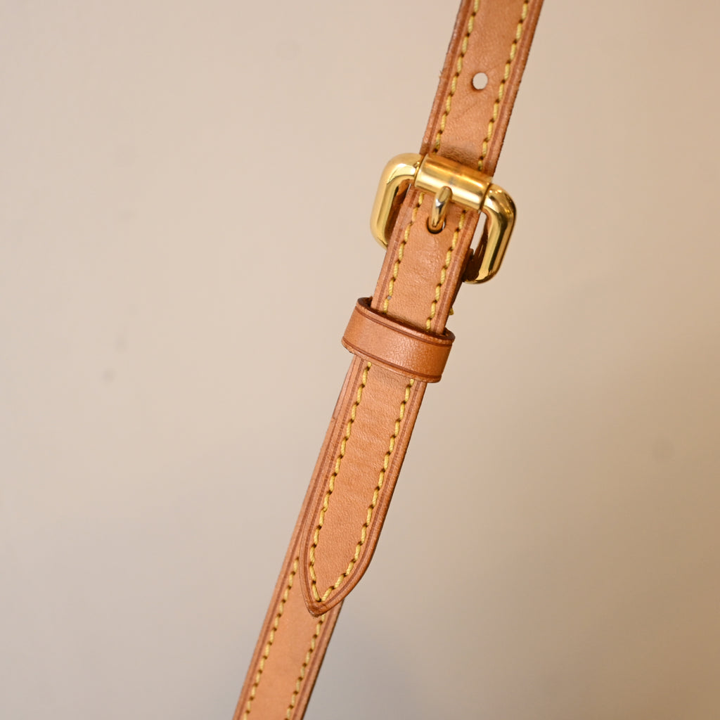 Louis Vuitton Palermo PM Monogram