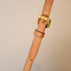 Louis Vuitton Palermo PM Monogram