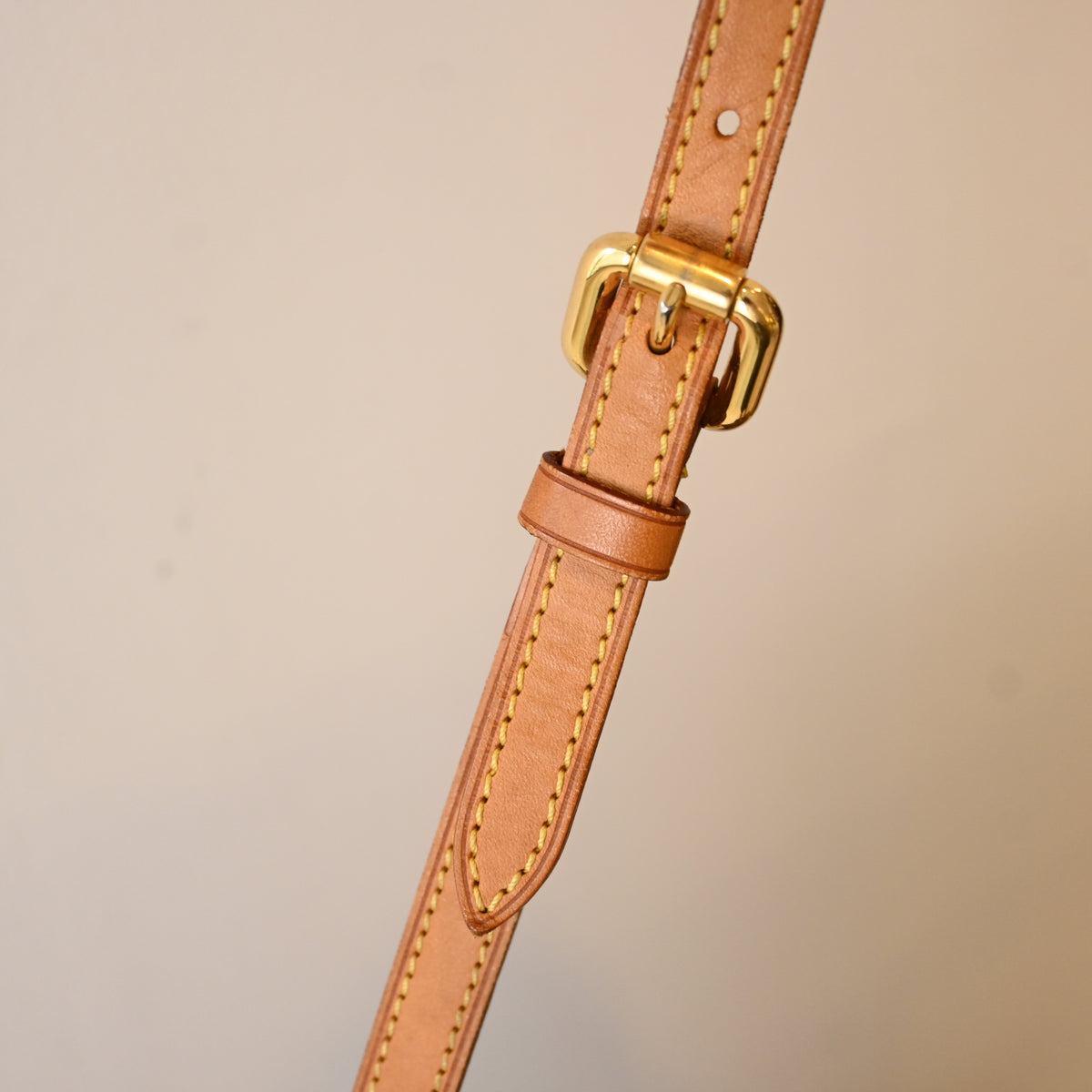 Louis Vuitton Palermo PM Monogram