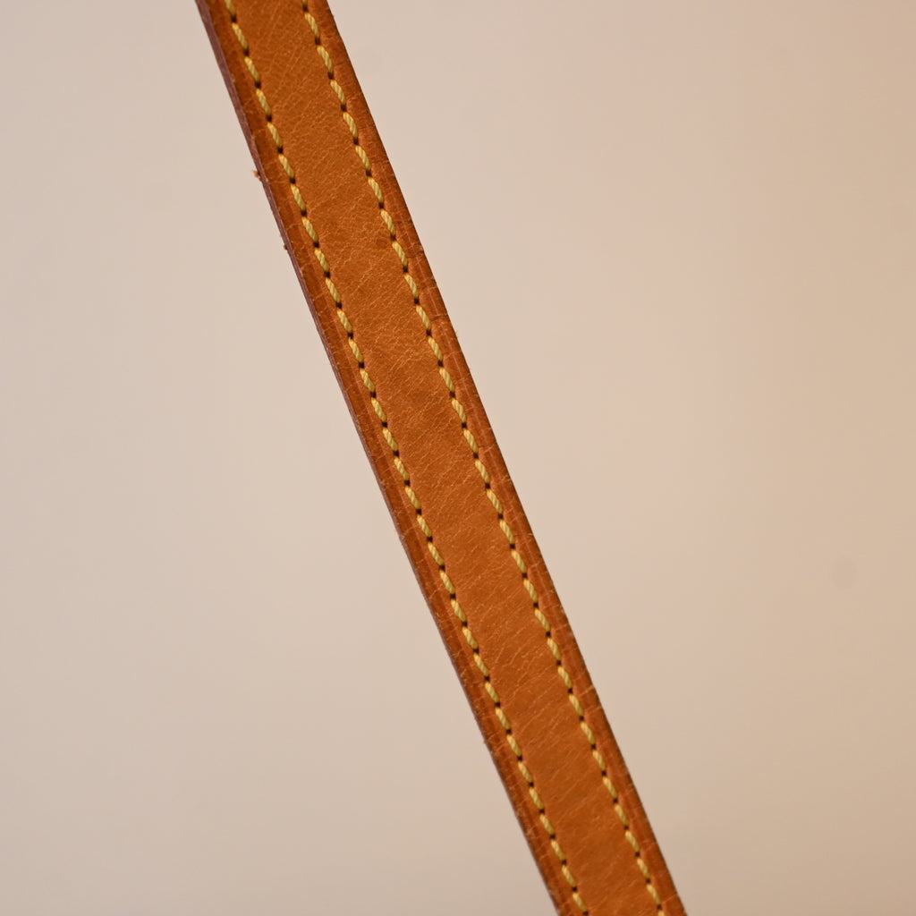 Louis Vuitton Palermo PM Monogram