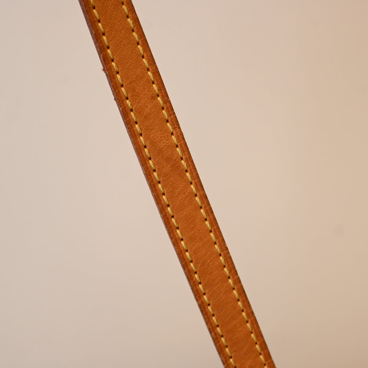 Louis Vuitton Palermo PM Monogram