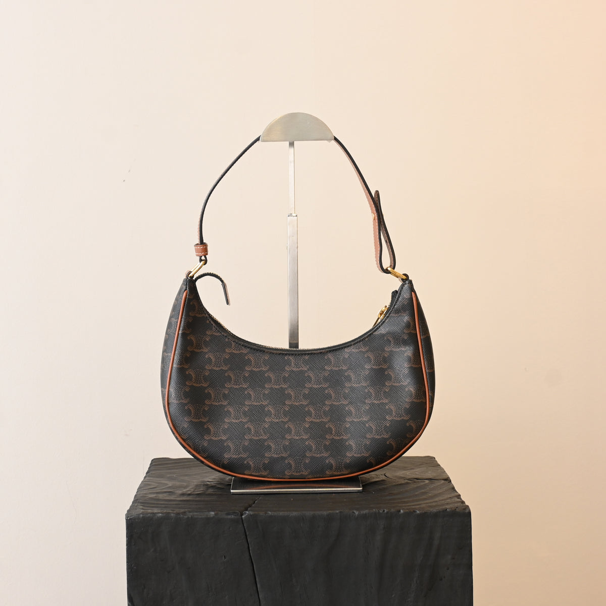 Celine Ava Bag in Triomphe Canvas