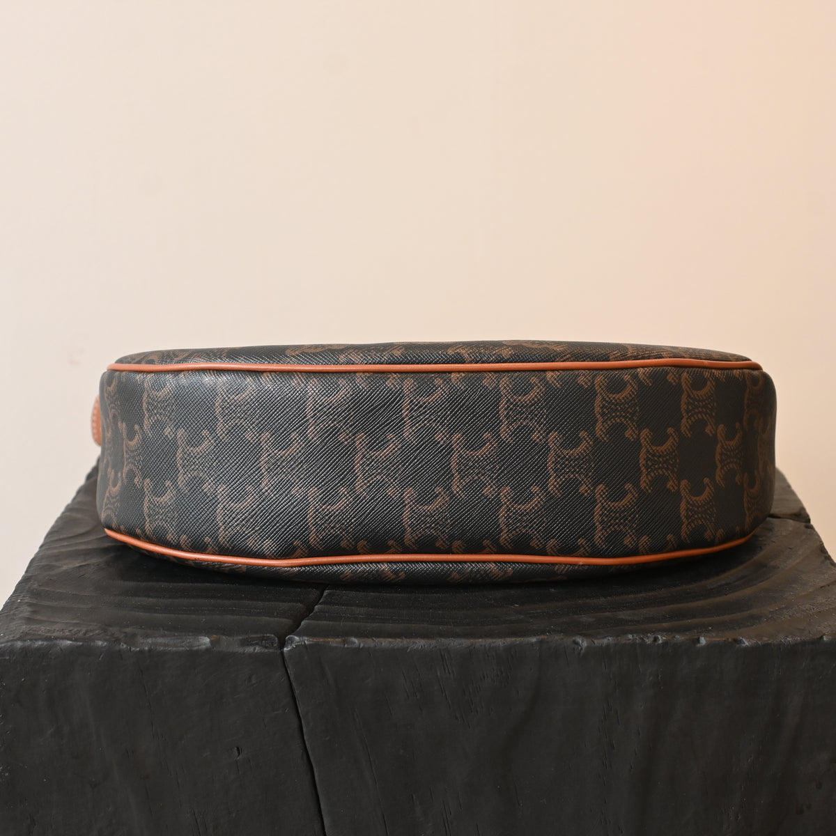 Celine Ava Bag in Triomphe Canvas