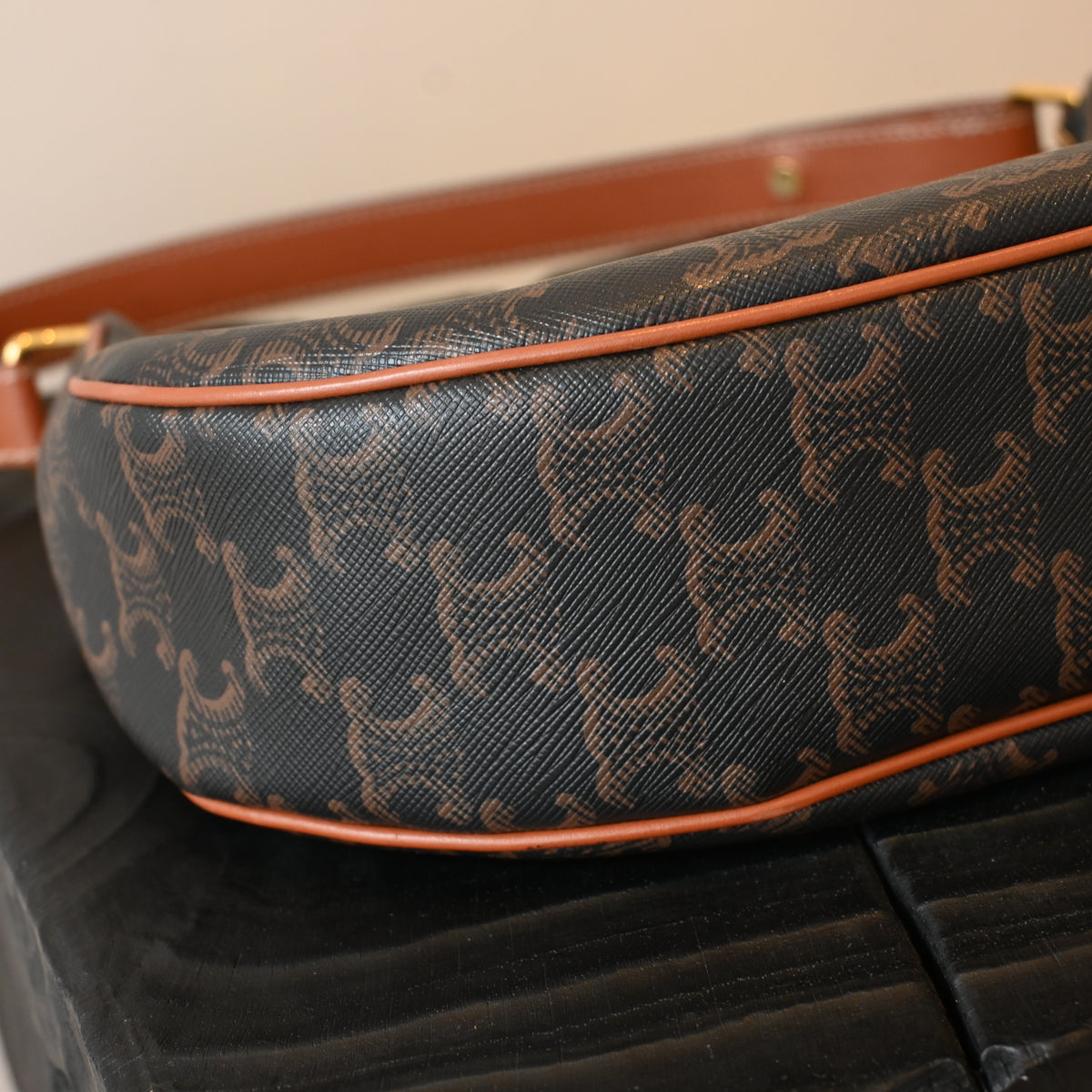 Celine Ava Bag in Triomphe Canvas