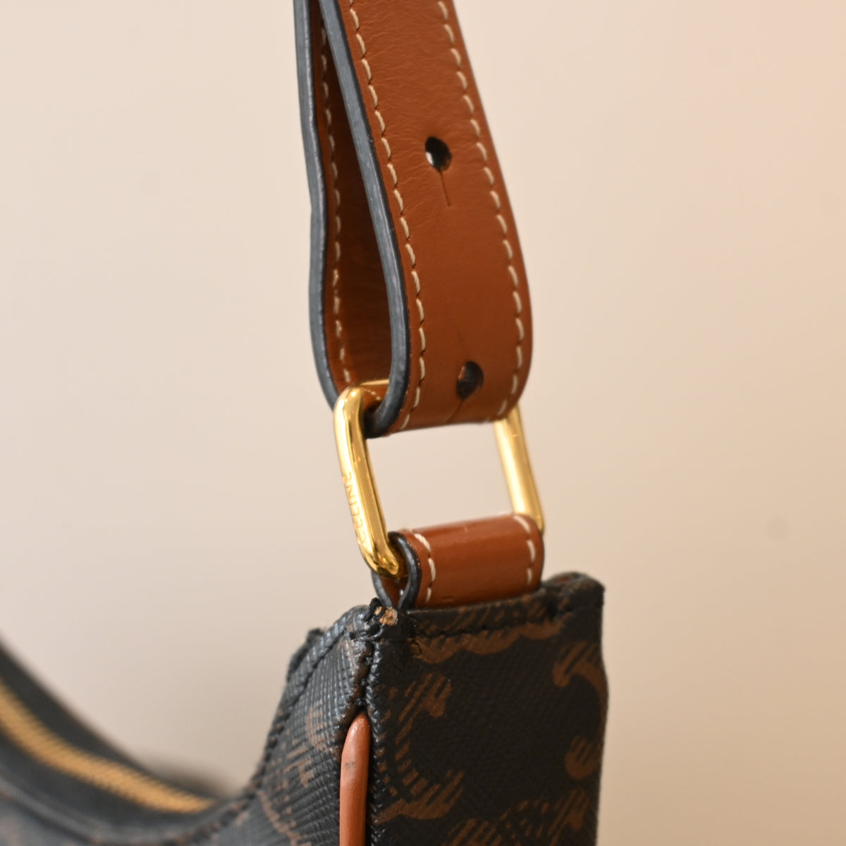 Celine Ava Bag in Triomphe Canvas
