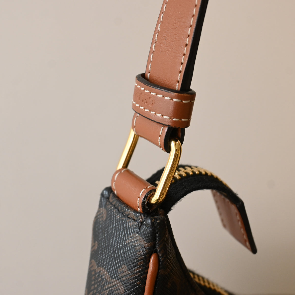Celine Ava Bag in Triomphe Canvas