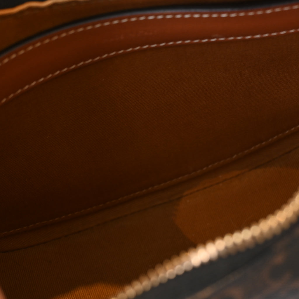 Celine Ava Bag in Triomphe Canvas