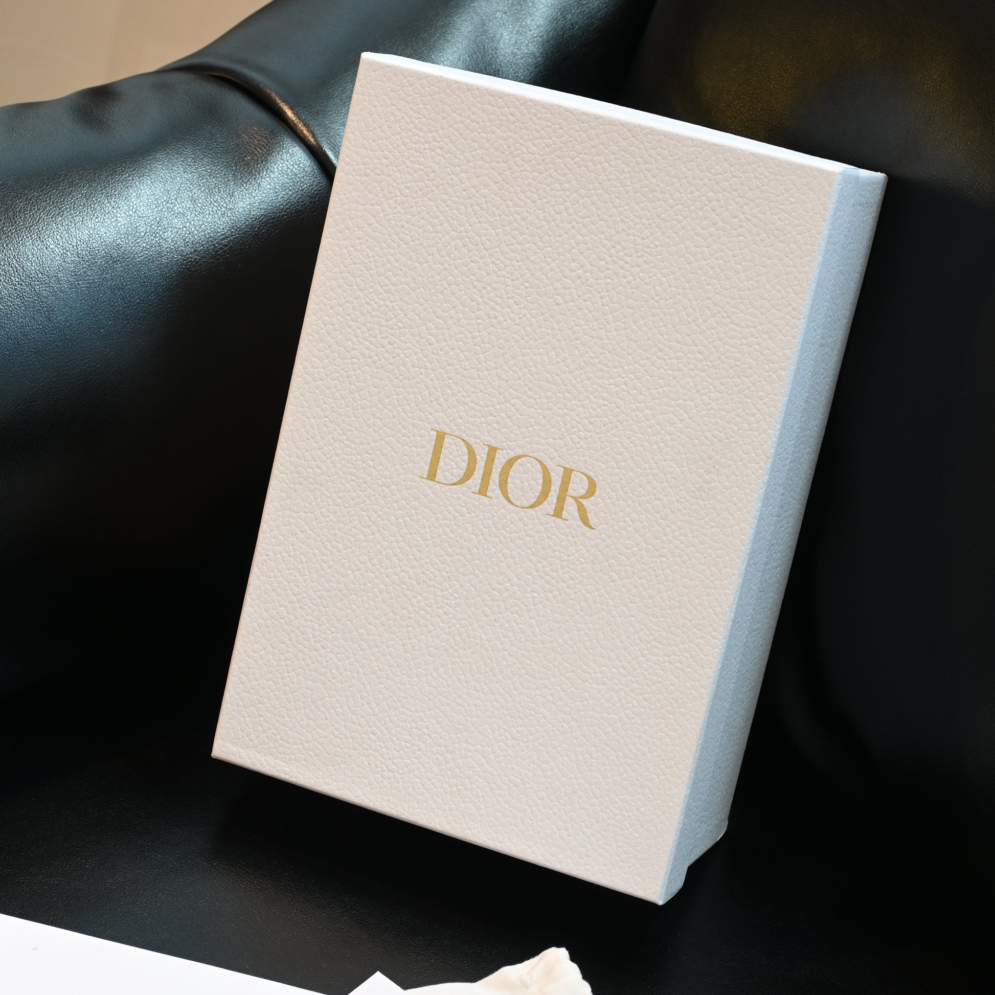 Lady Dior Small D-Joy Patent Leather - Leluxe Vintage Sdn. Bhd.