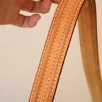 Louis Vuitton Viva Cite MM Monogram