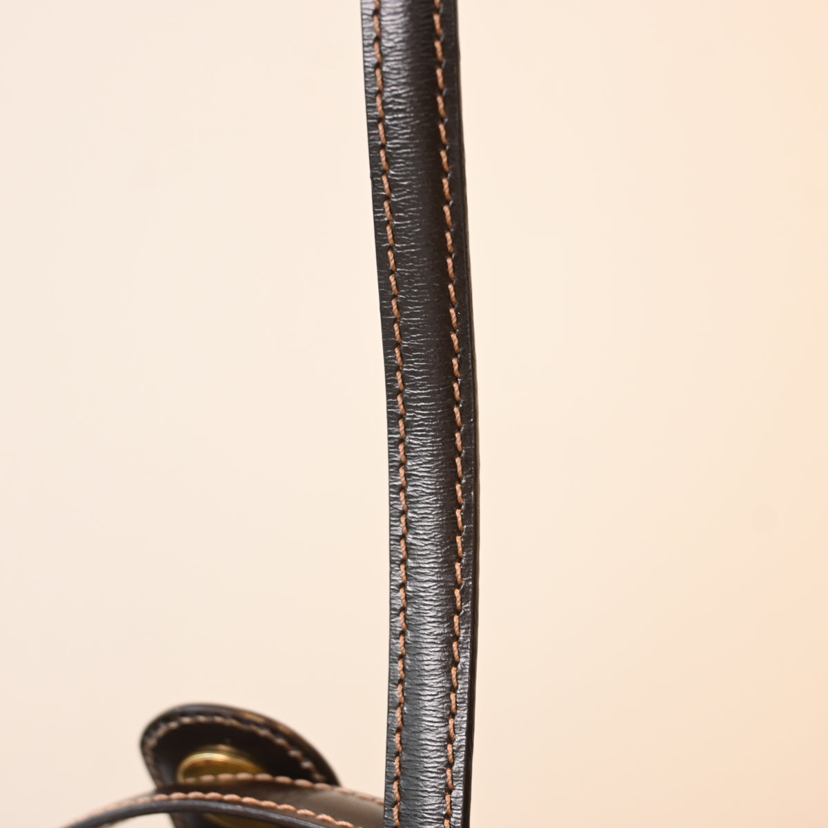Loewe Anagram Embossed Museum Bag
