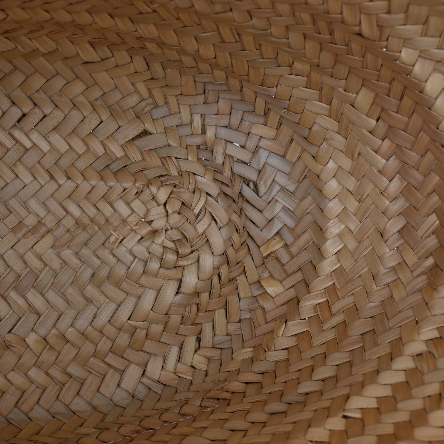 Loewe Basket Raffia Bag Medium