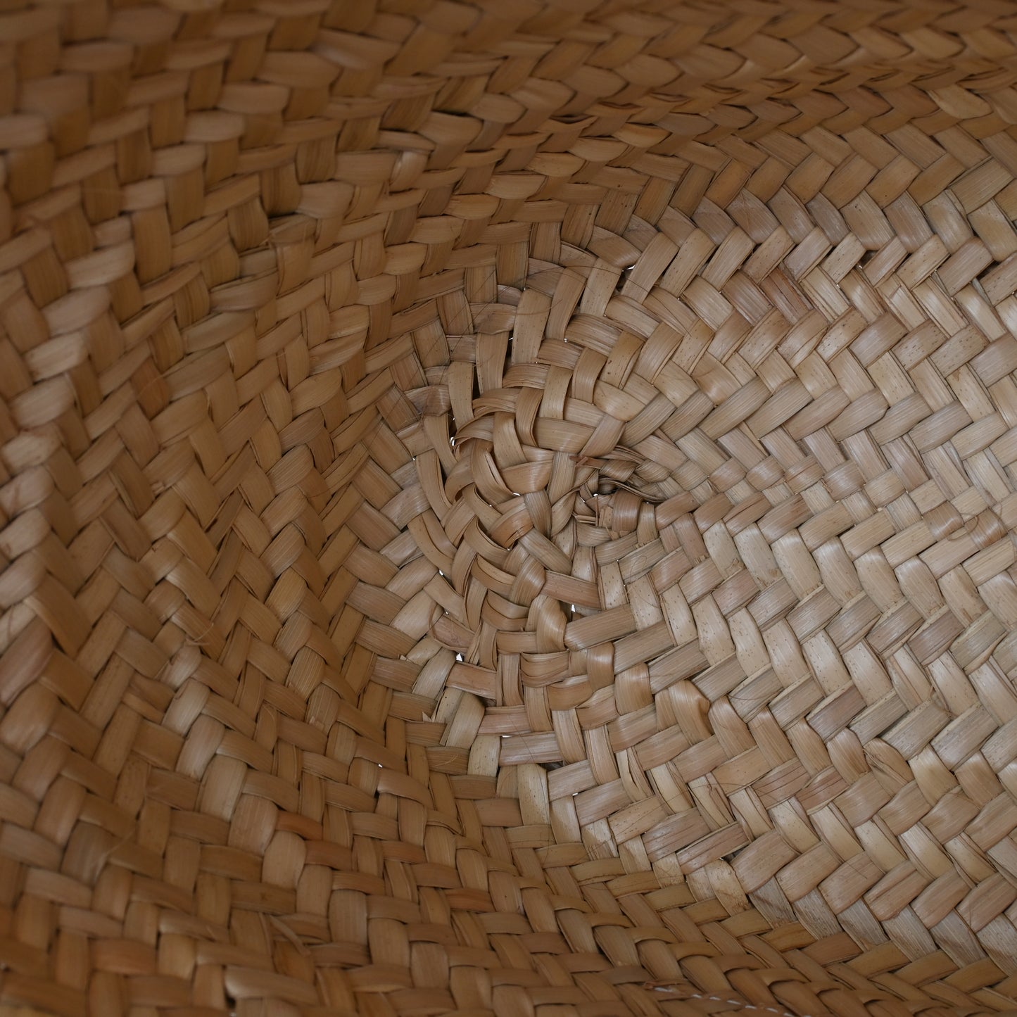 Loewe Basket Raffia Bag Medium