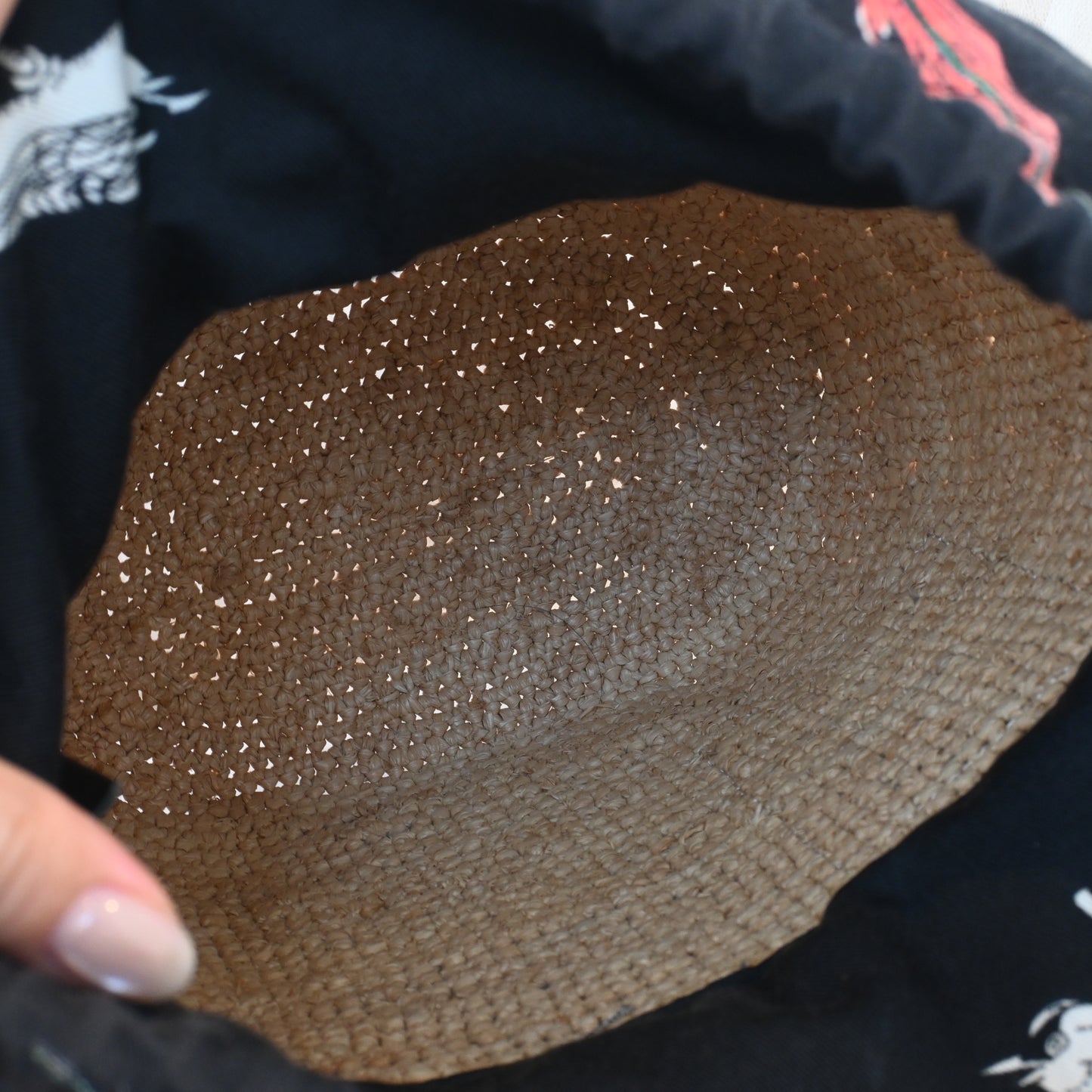 Loewe Anagram Parrot Pochette Bag Raffia