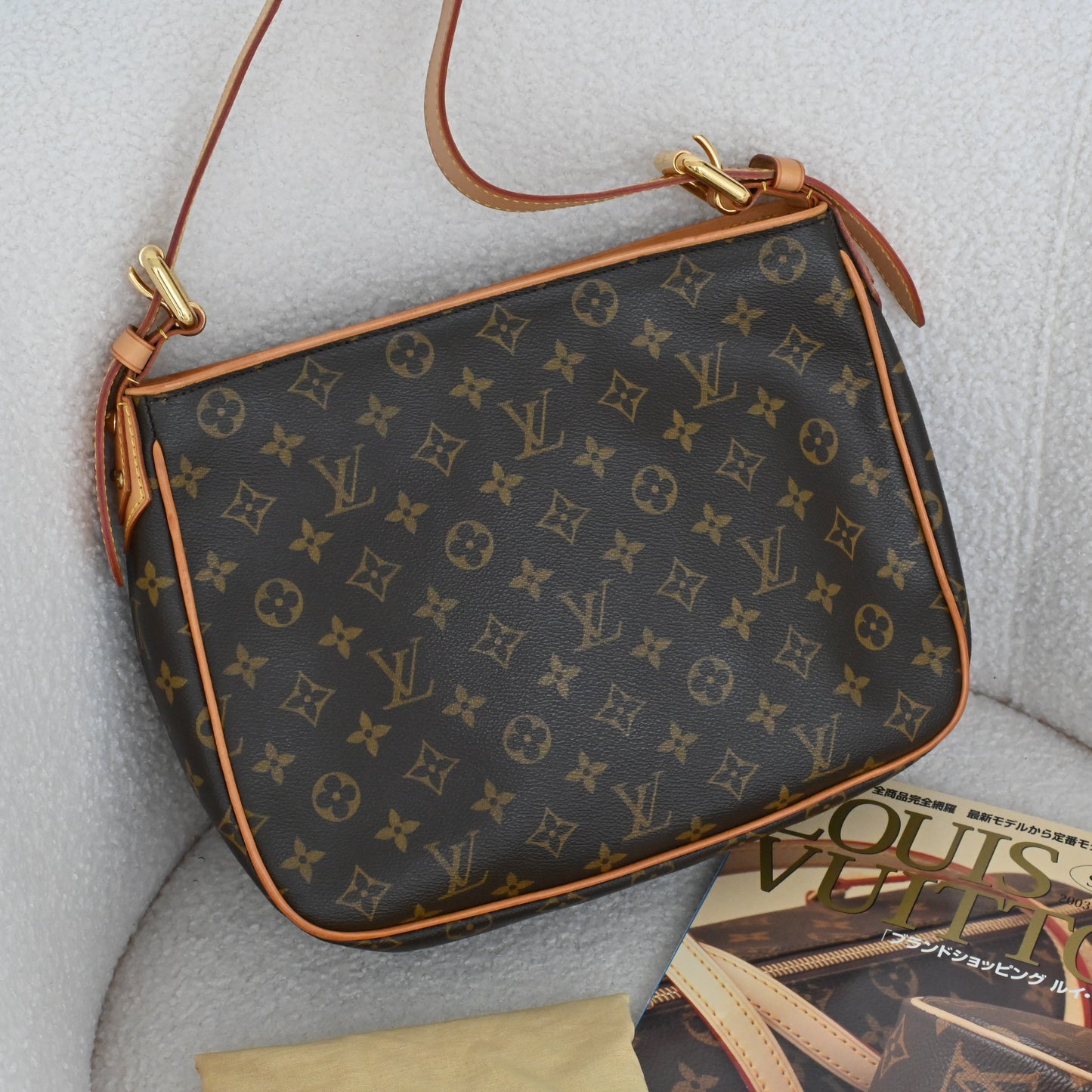 Louis Vuitton Monogram Hudson GM