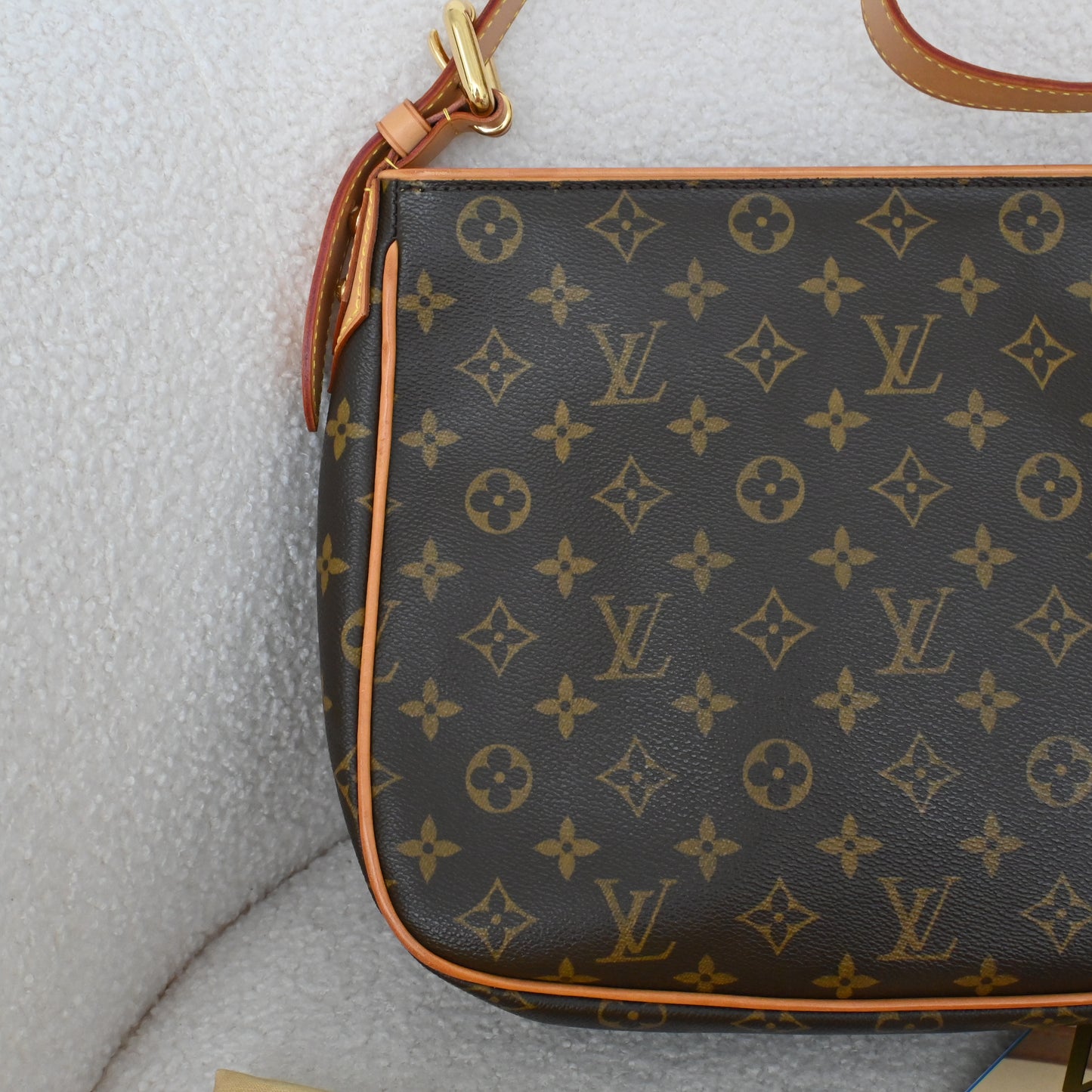 Louis Vuitton Monogram Hudson GM