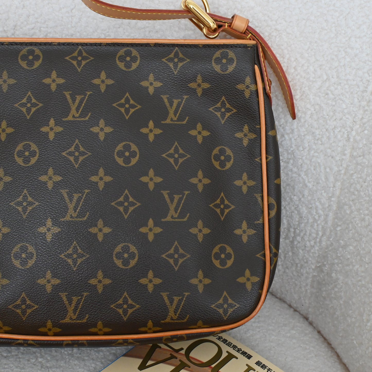 Louis Vuitton Monogram Hudson GM