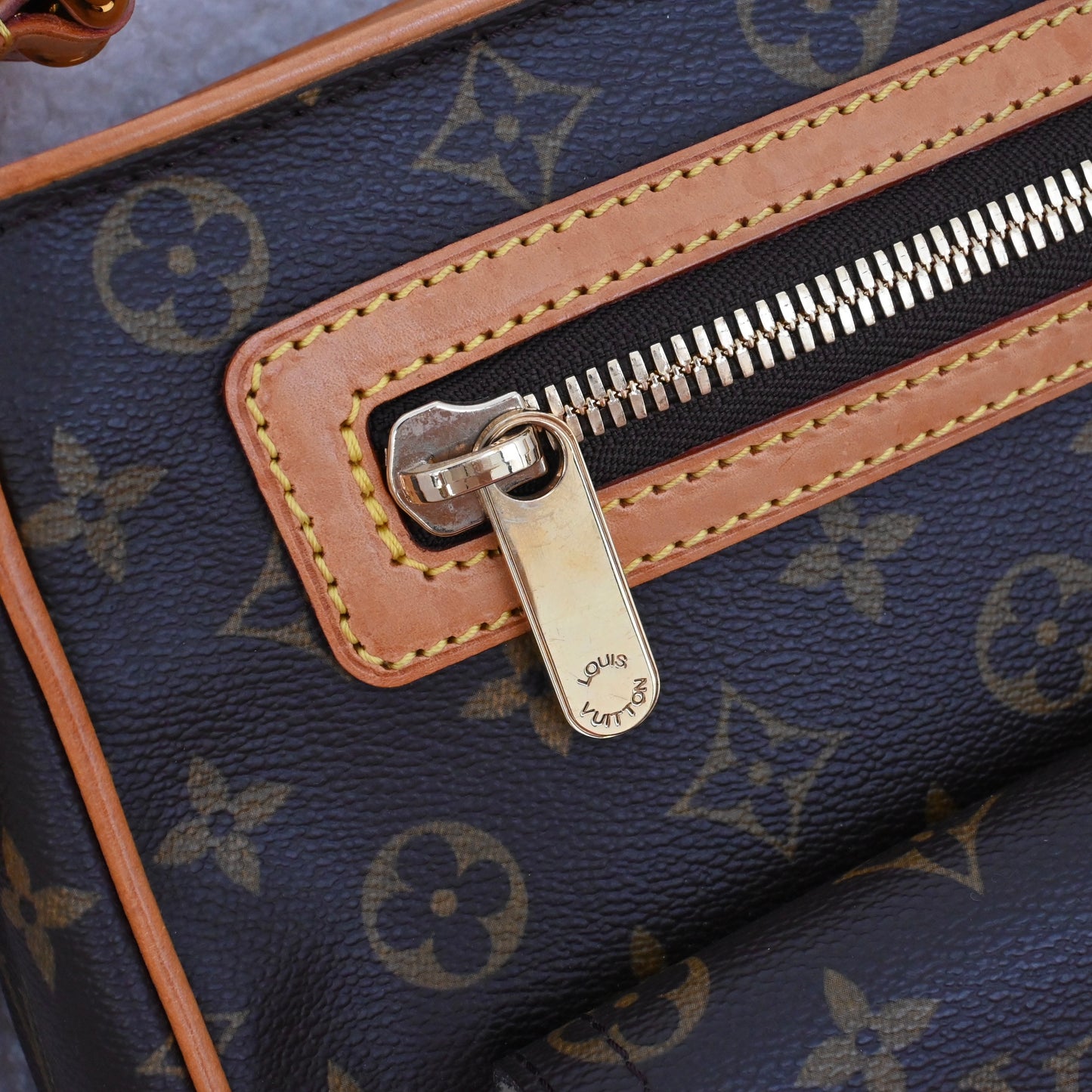 Louis Vuitton Monogram Hudson GM