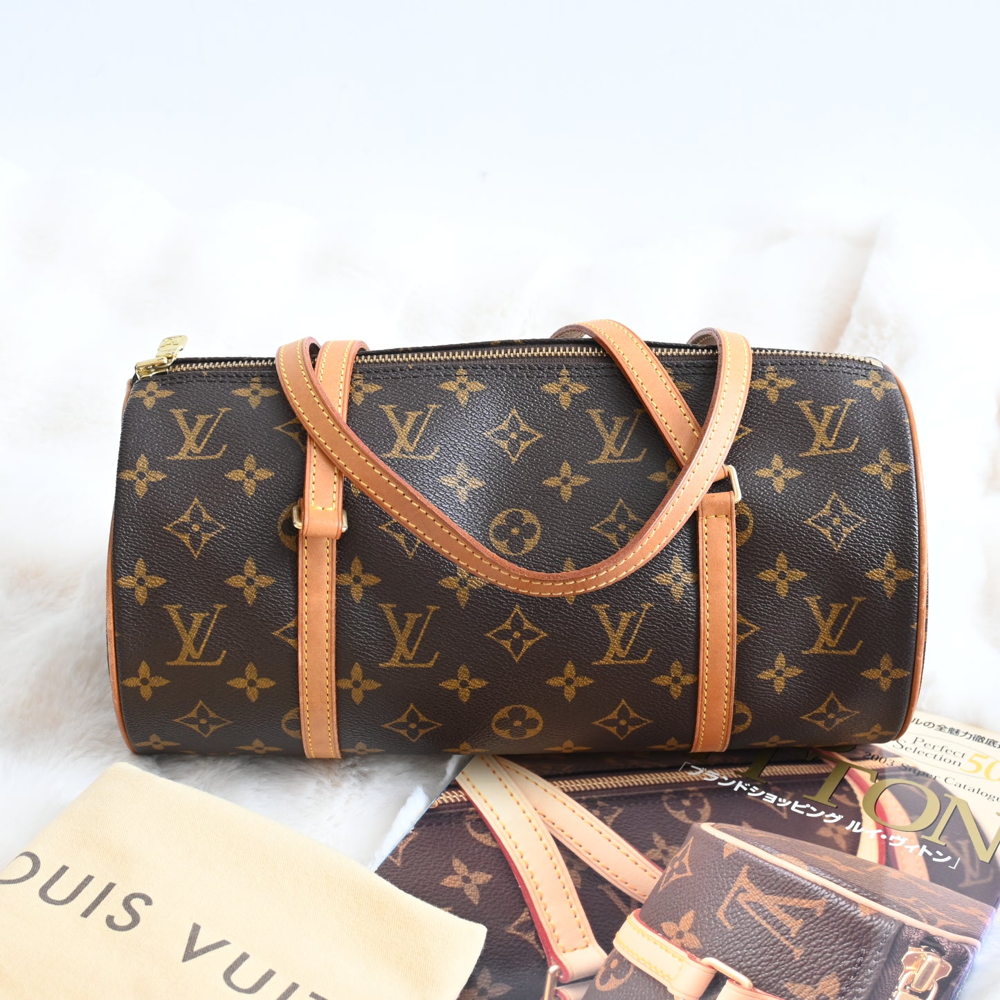 Louis Vuitton Papillon 30 with Mini Papillon