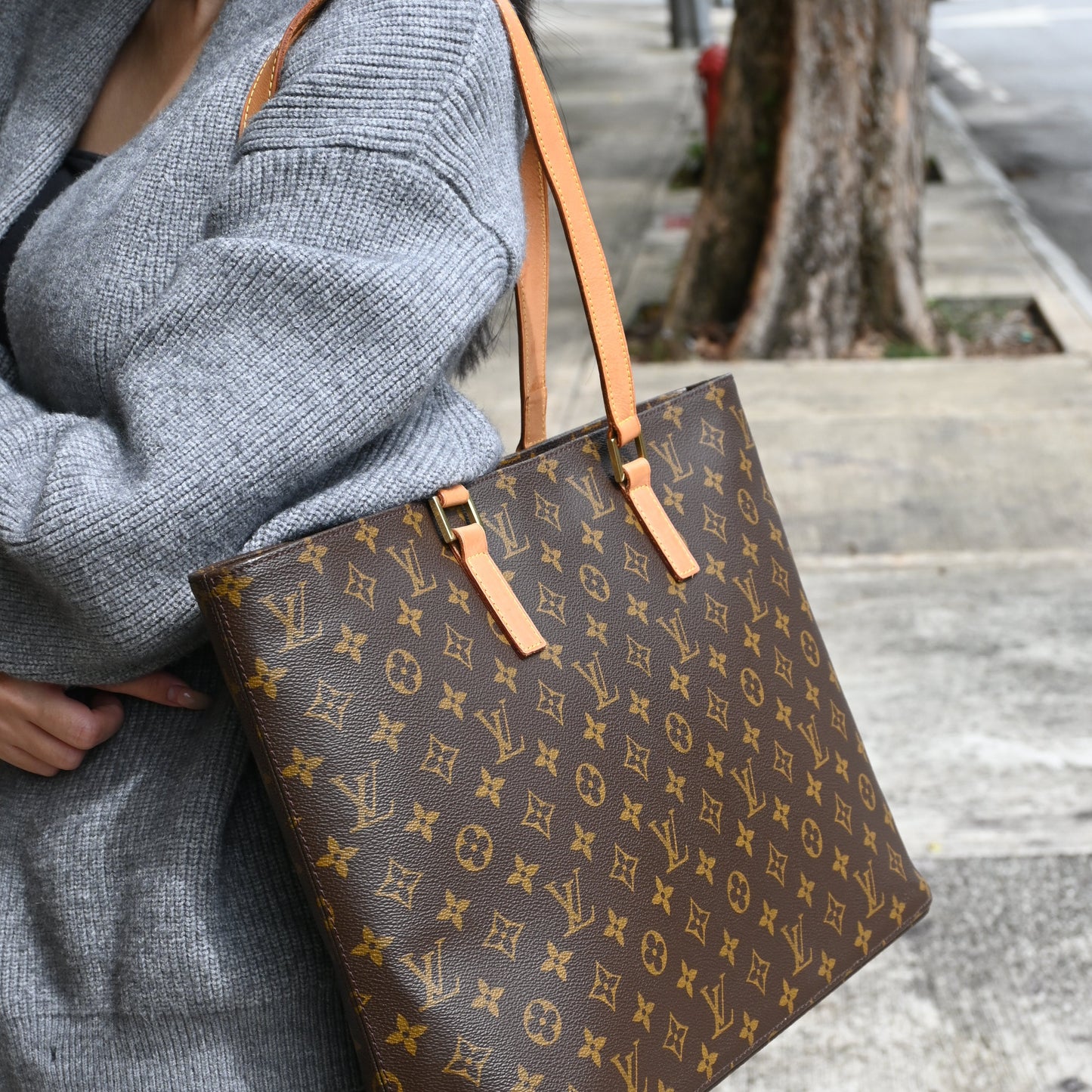 Louis Vuitton Monogram Luco M51155