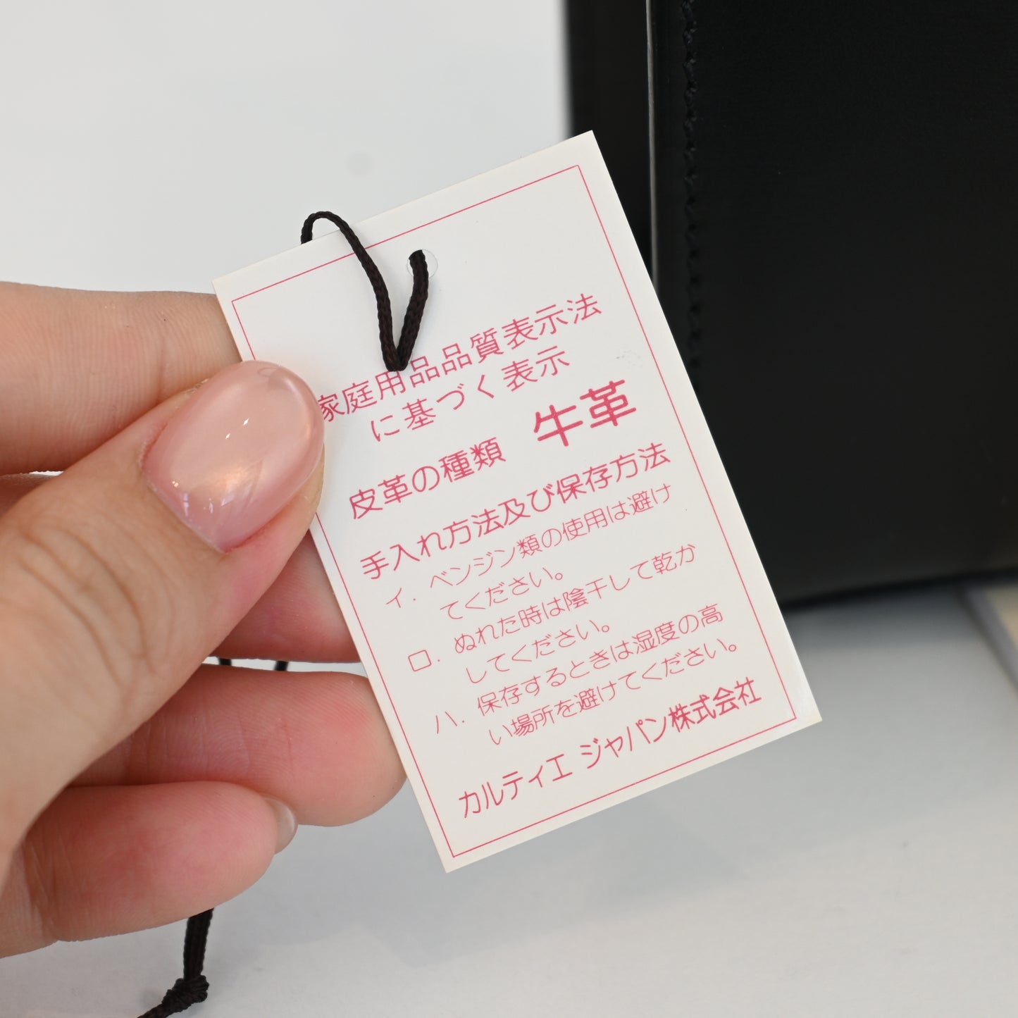 Cartier Panthère Top Handle Kelly SHW