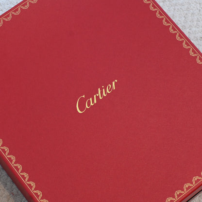 Cartier Panthère Top Handle Kelly SHW