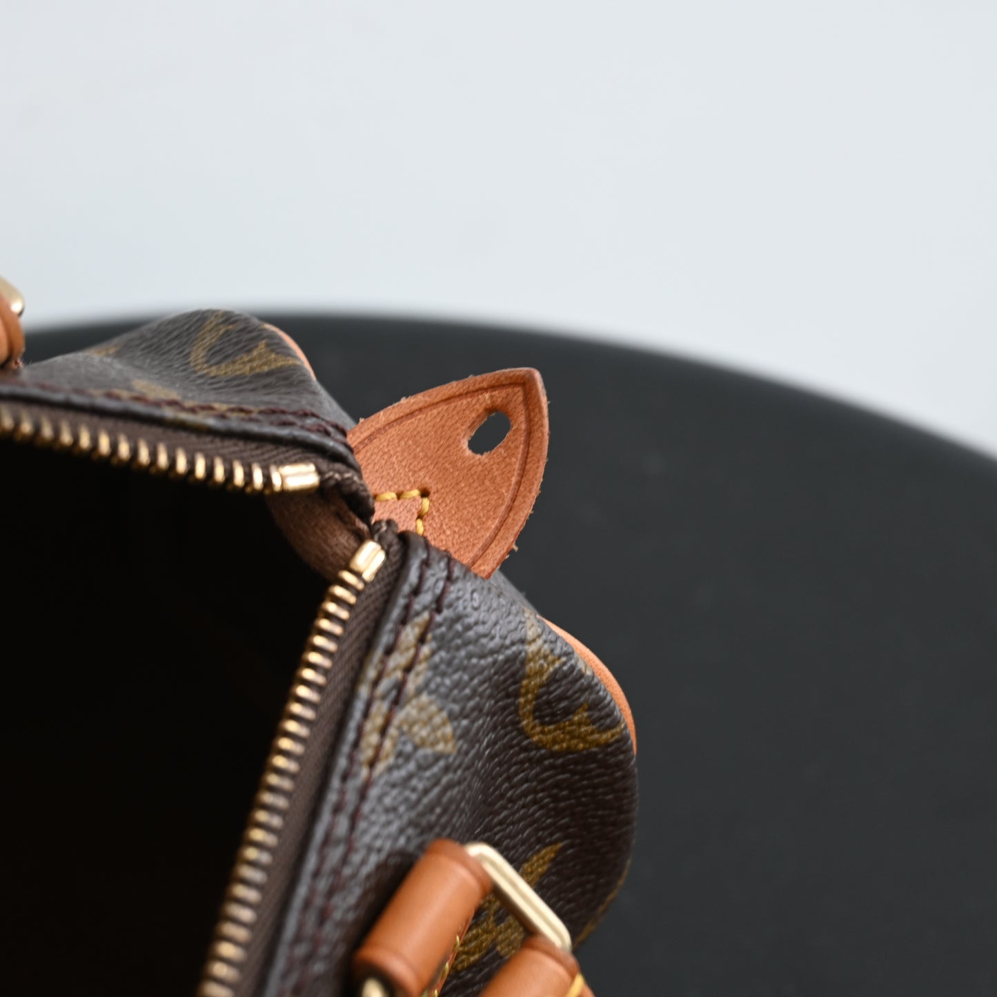 Louis Vuitton Mini Speedy Monogram