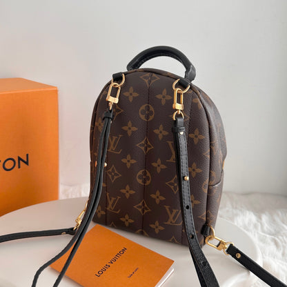 Louis Vuitton Mini Palm Spring Backpack