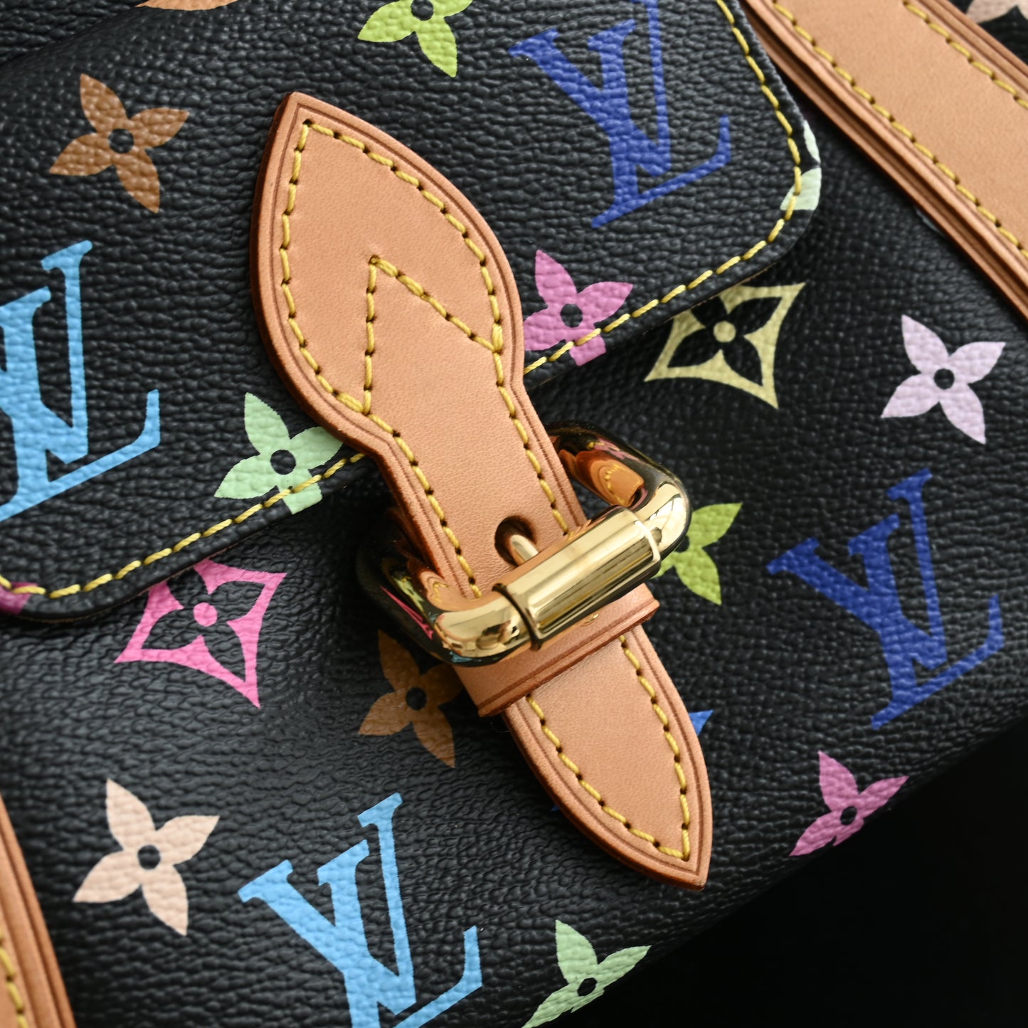 Louis Vuitton Multicolour Priscilla