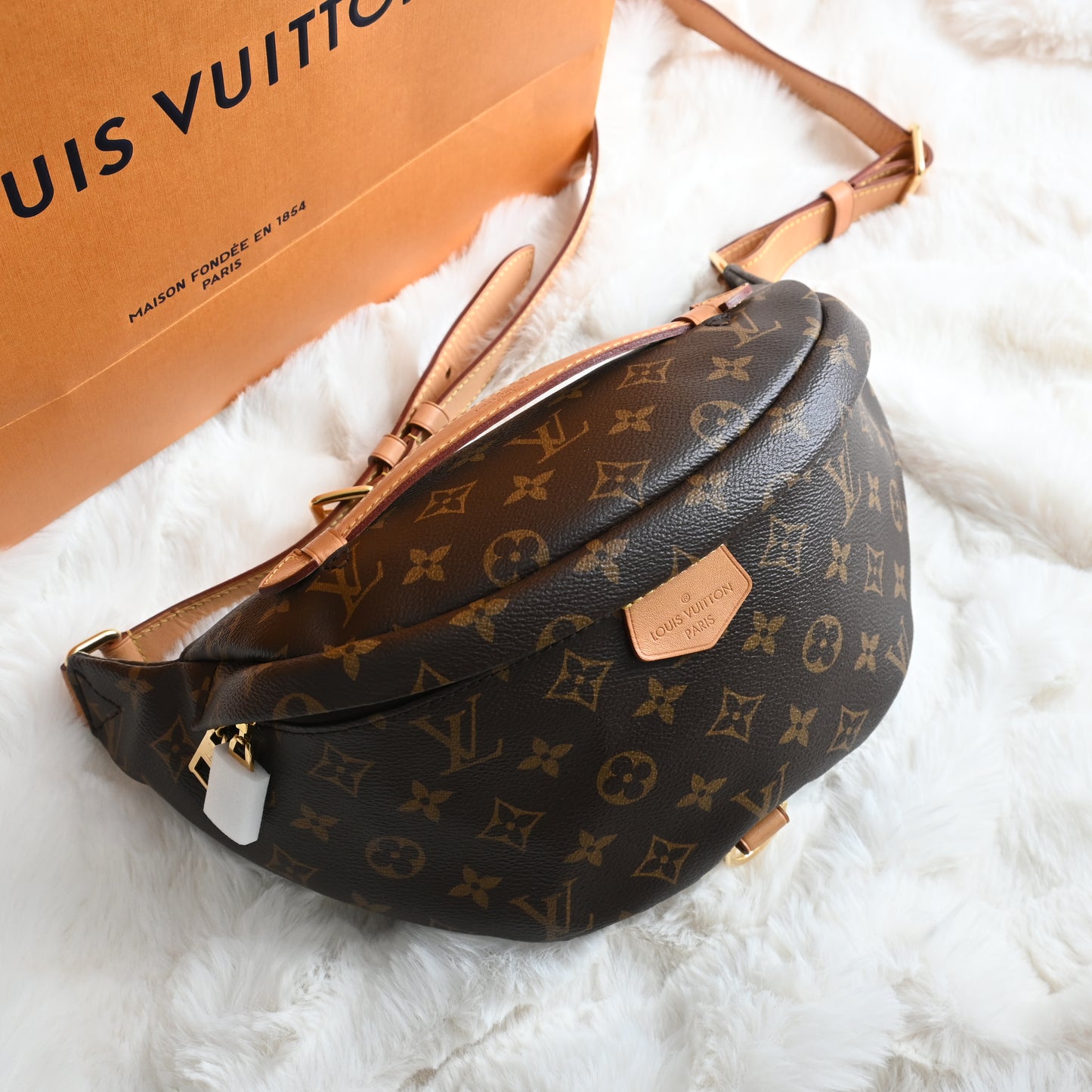 Louis Vuitton Bumbag Monogram