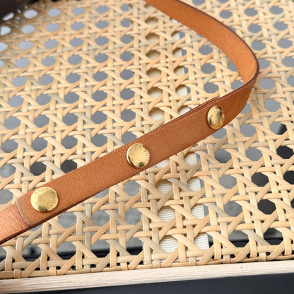 Louis Vuitton Florentine Belt Bag