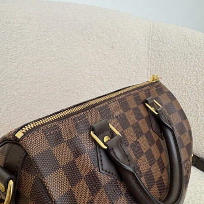 Louis Vuitton Damier Speedy 25