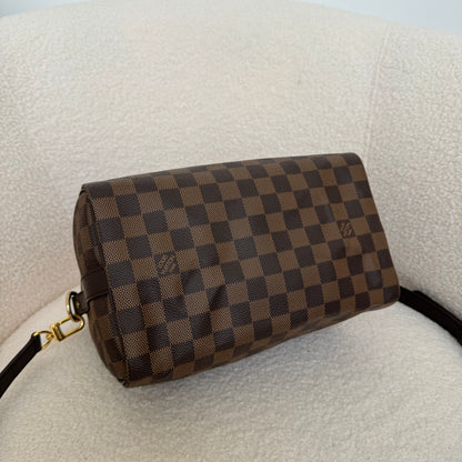 Louis Vuitton Damier Speedy 25