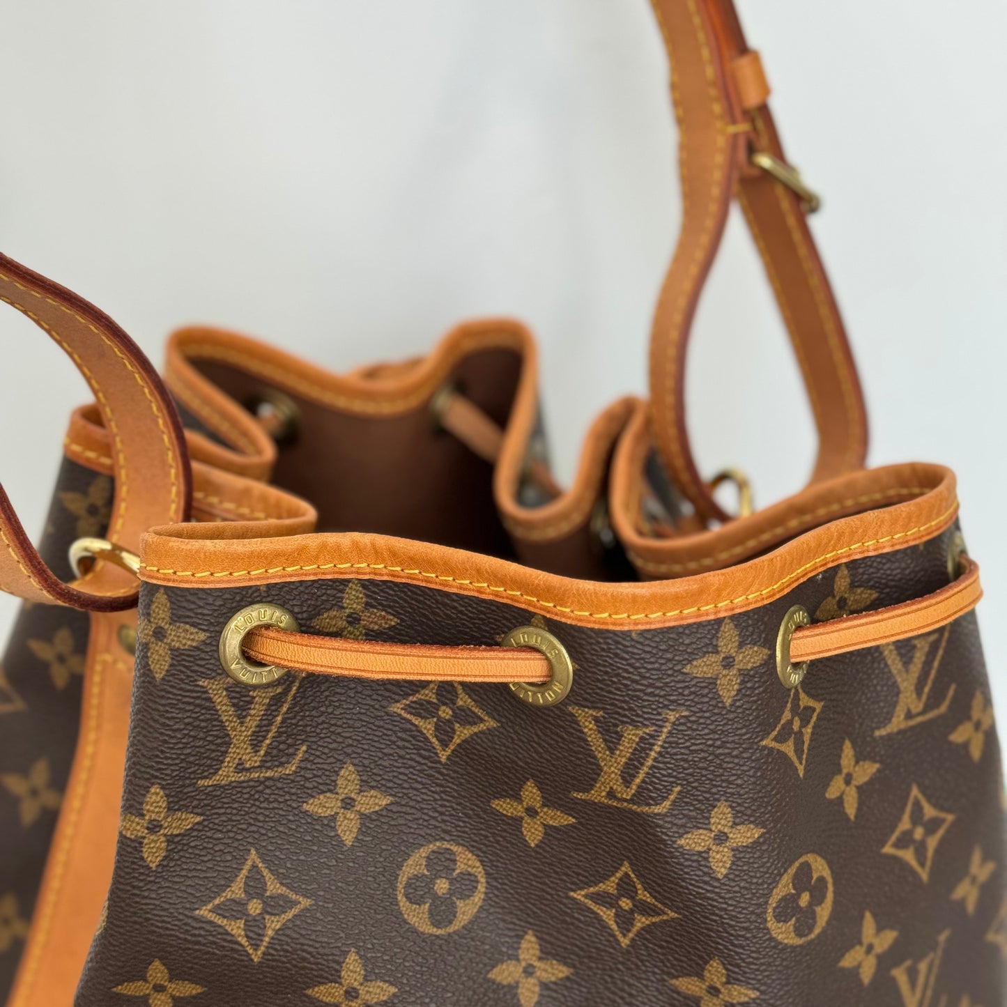 Louis Vuitton Petite Noe