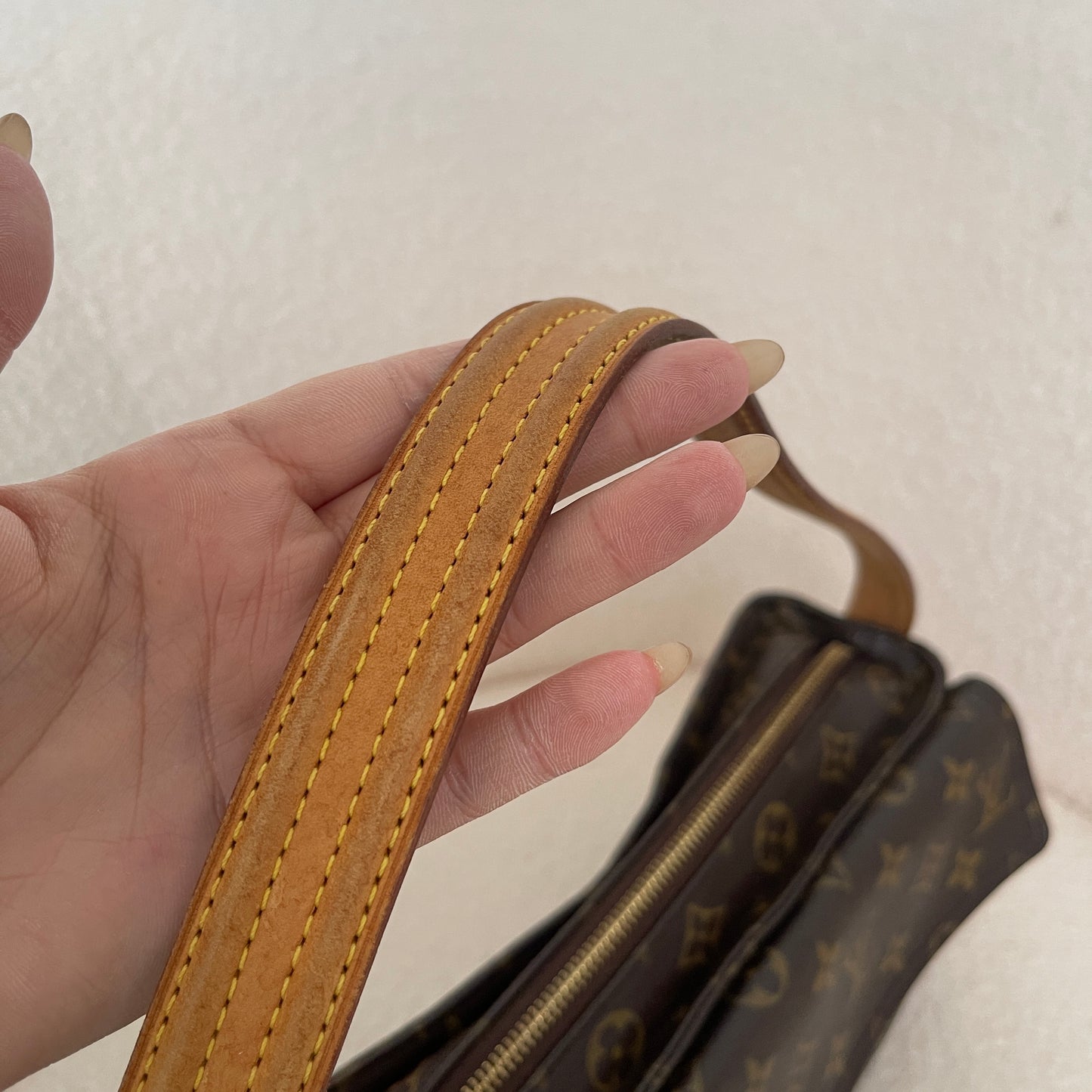 Louis Vuitton Monogram Viva Cite MM