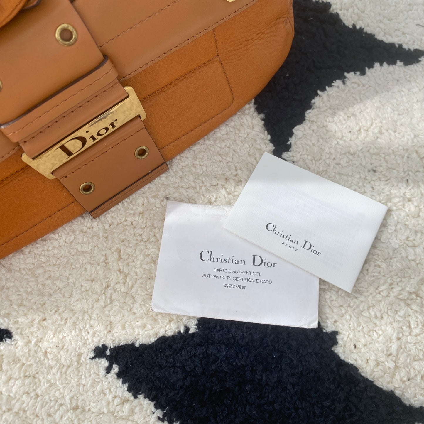 Dior Punk Columbus bag