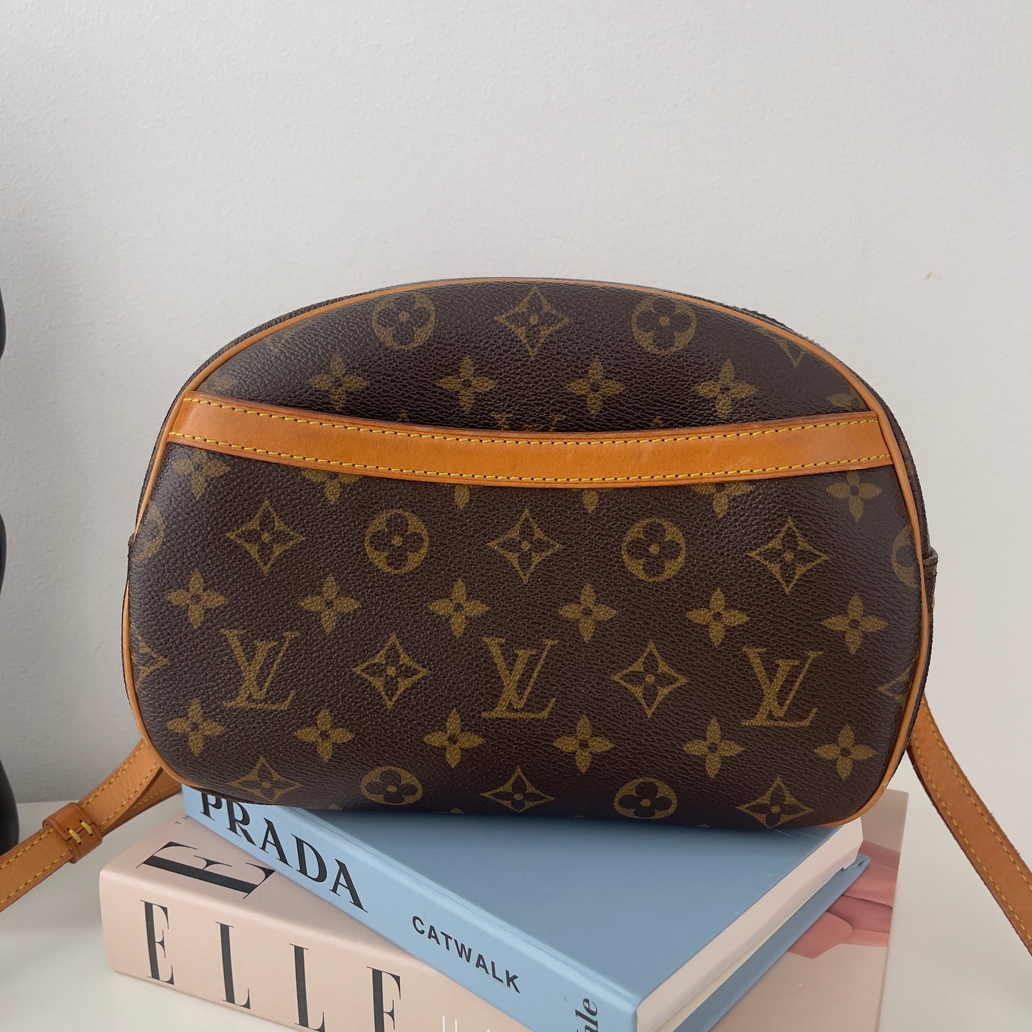 Louis Vuitton Monogram Blois