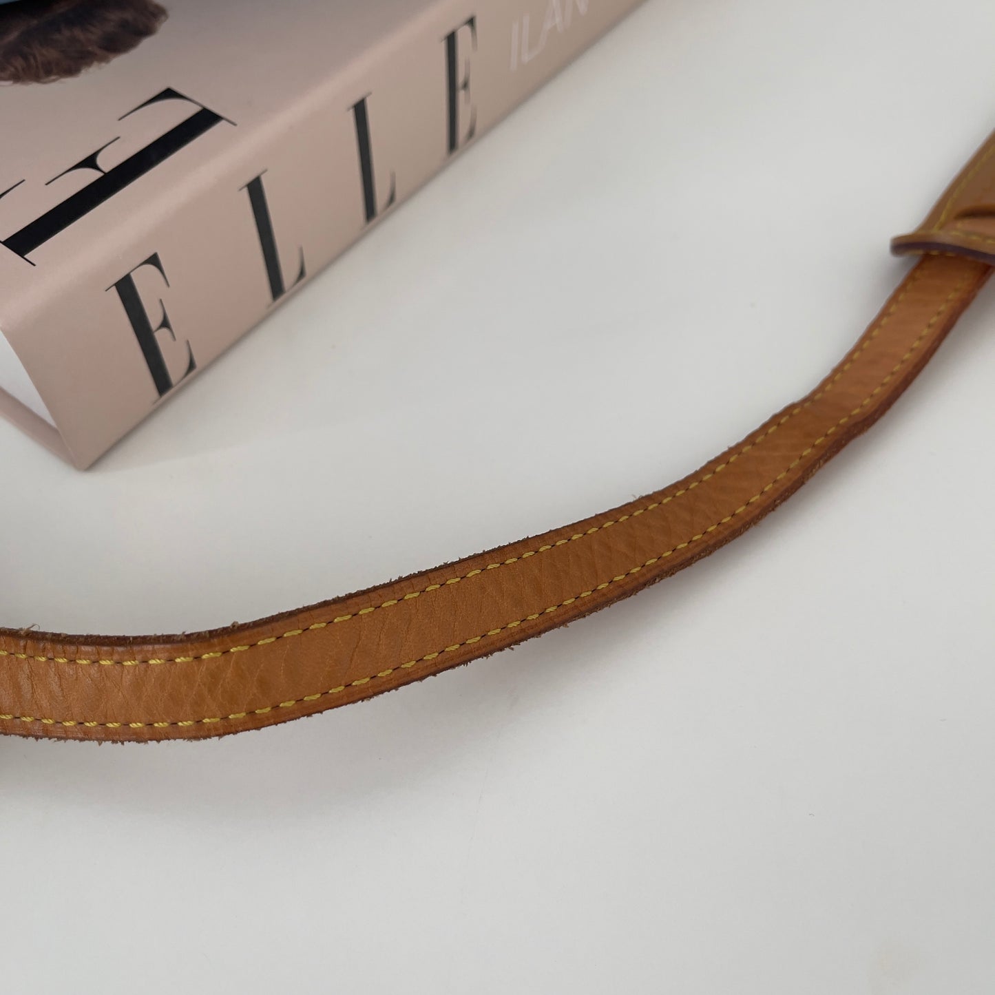 Louis Vuitton Monogram Blois