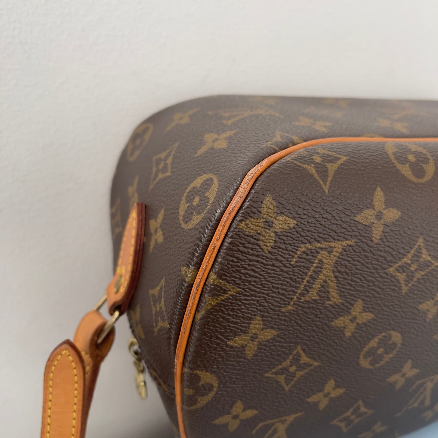 Louis Vuitton Monogram Blois