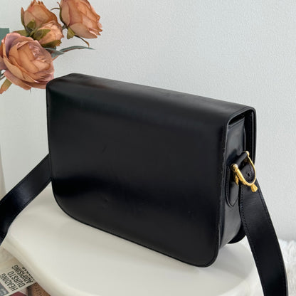 Celine Horse Carriage Box Bag